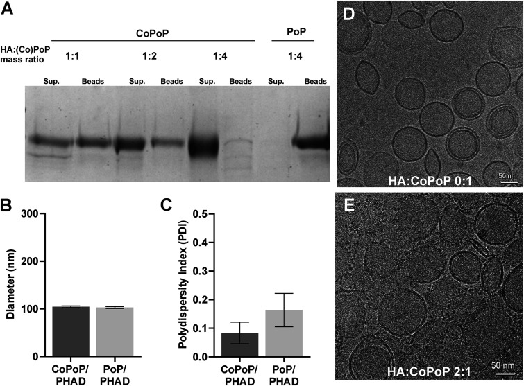 FIG 2