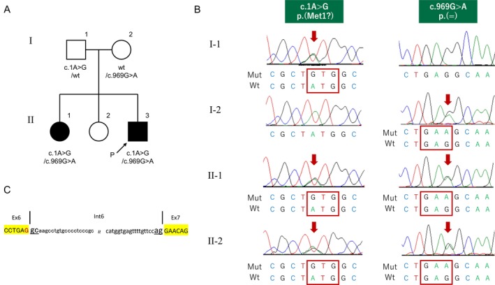 FIGURE 1