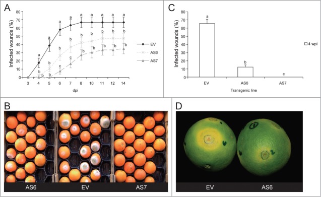 Figure 4.