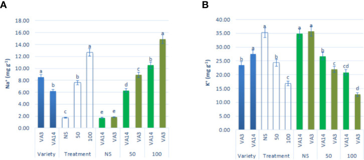 Figure 6