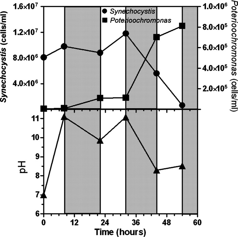 Fig. 5