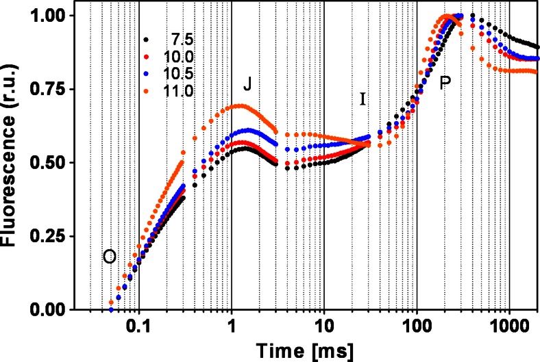 Fig. 2