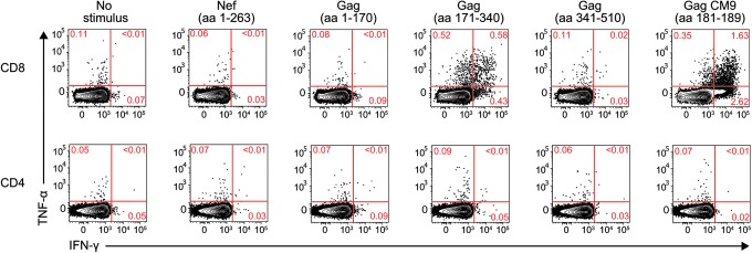 FIG. 7.