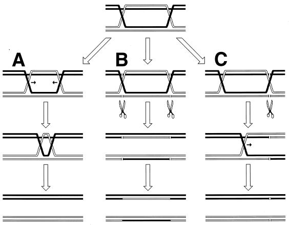 FIG. 9