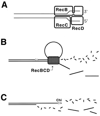 FIG. 22