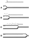 FIG. 33