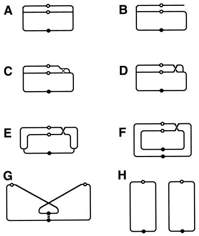 FIG. 29