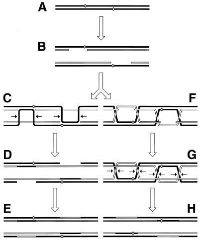 FIG. 14