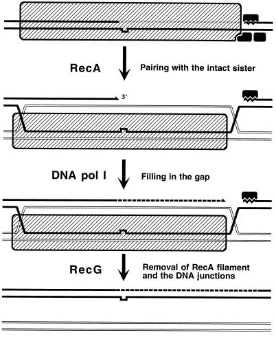 FIG. 18