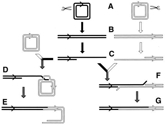 FIG. 32