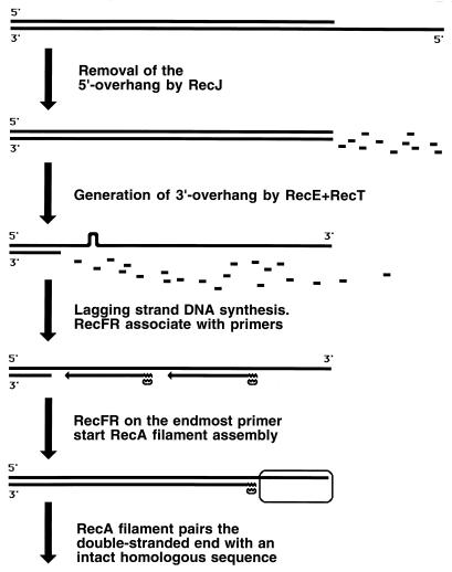 FIG. 26