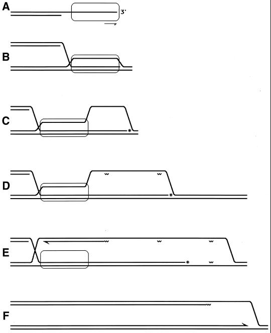 FIG. 23