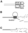 FIG. 22