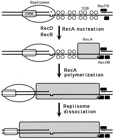 FIG. 16