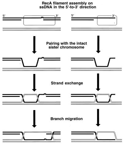 FIG. 7