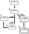 FIG. 25