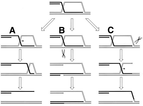 FIG. 10