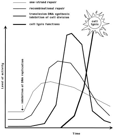 FIG. 5