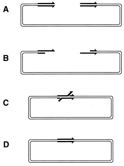 FIG. 36