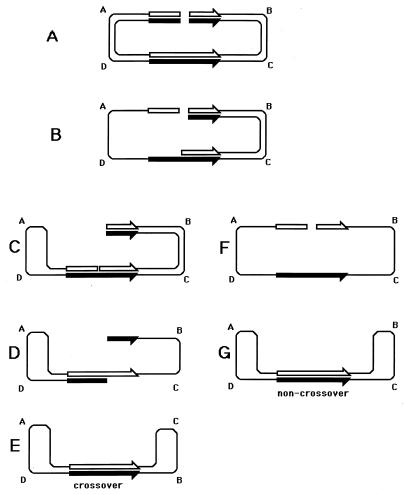 FIG. 38