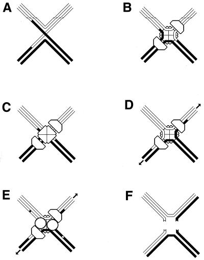 FIG. 11