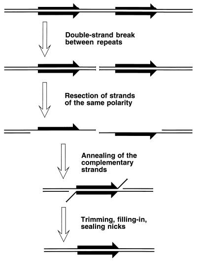 FIG. 30