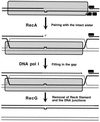 FIG. 18