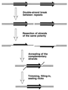FIG. 30