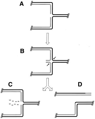 FIG. 21