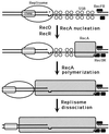 FIG. 16