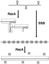 FIG. 8