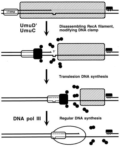 FIG. 19