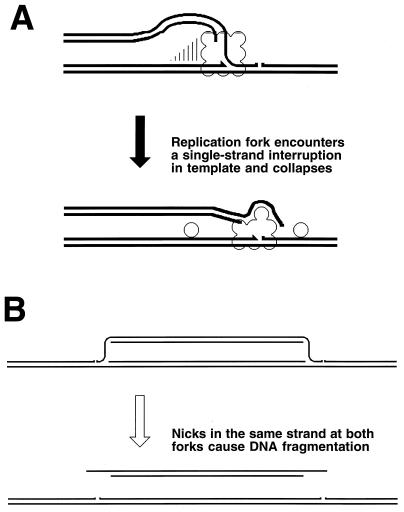 FIG. 20