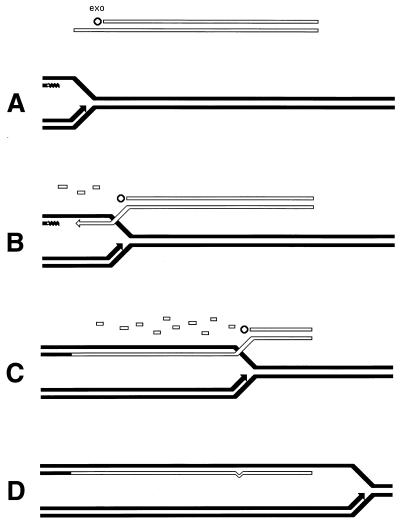 FIG. 33