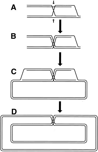 FIG. 28