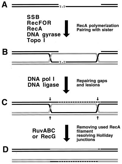 FIG. 15