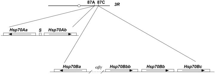 Figure 1.—