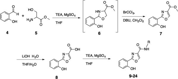 Scheme 1