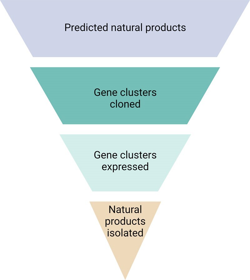 Graphical Abstract