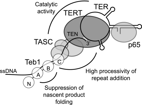 FIGURE 7.