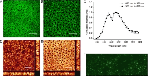 FIGURE 4.