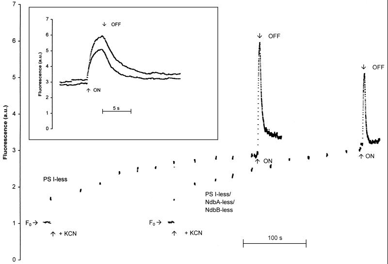 FIG. 4