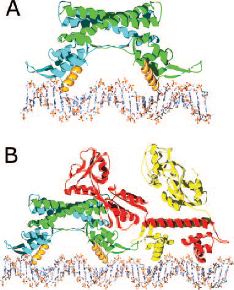 FIG. 3