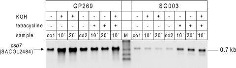 FIG. 5.