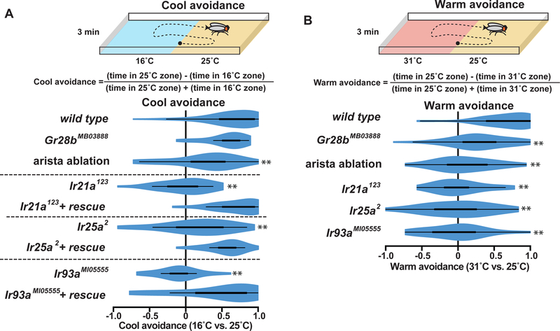 Figure 6: