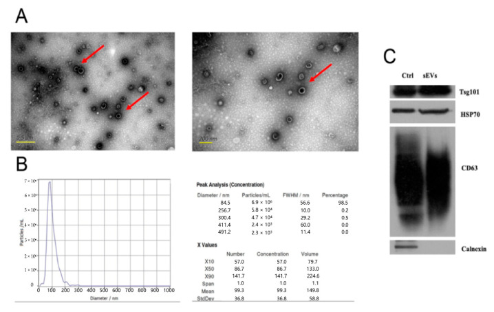 Micro-rnas From Plasma-derived Small Extracellular Vesicles As 