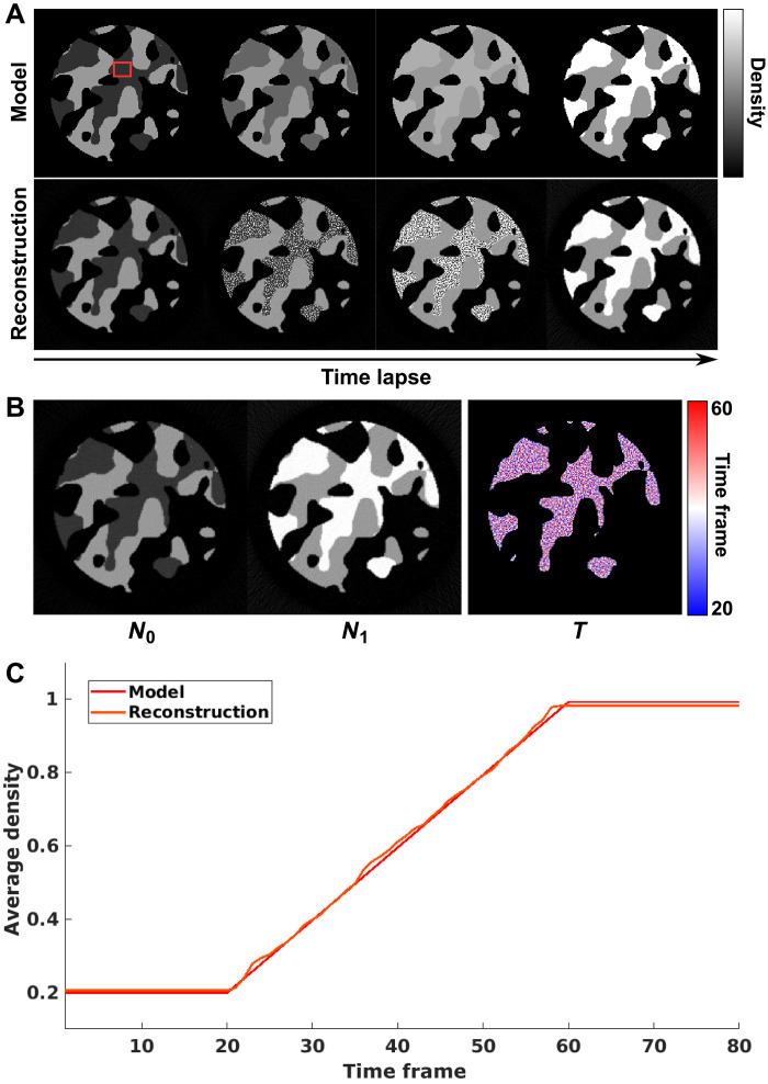 Fig. 10.