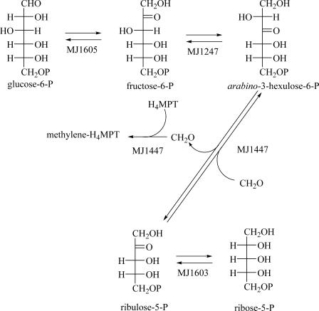 FIG. 2.