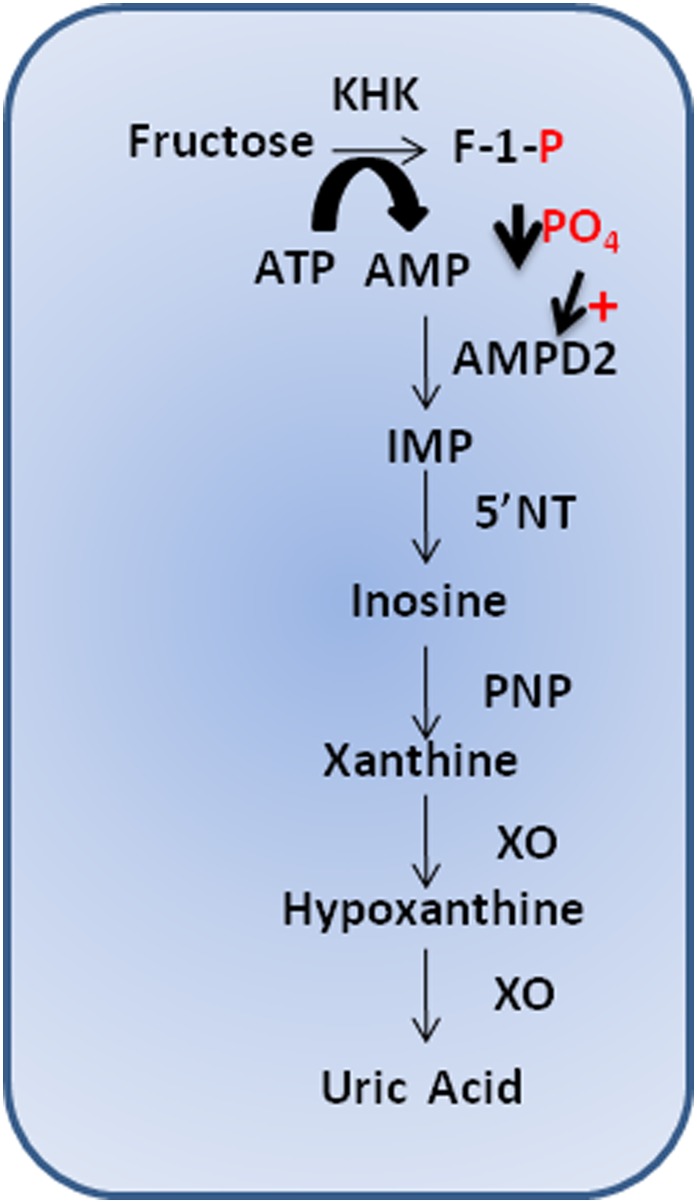 FIG. 1.