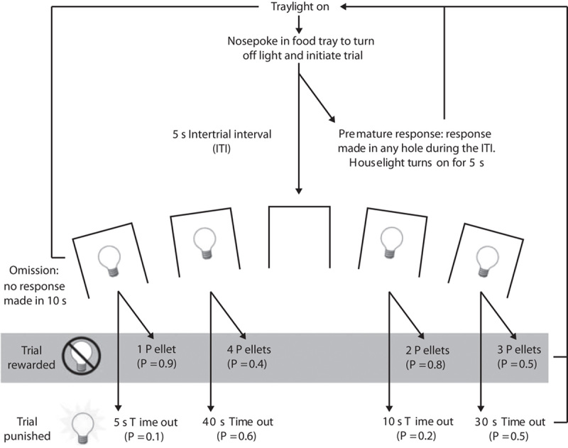 Fig. 1